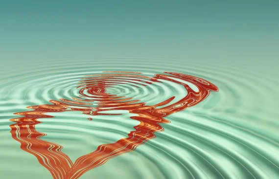 Fortune Casinò Supporto